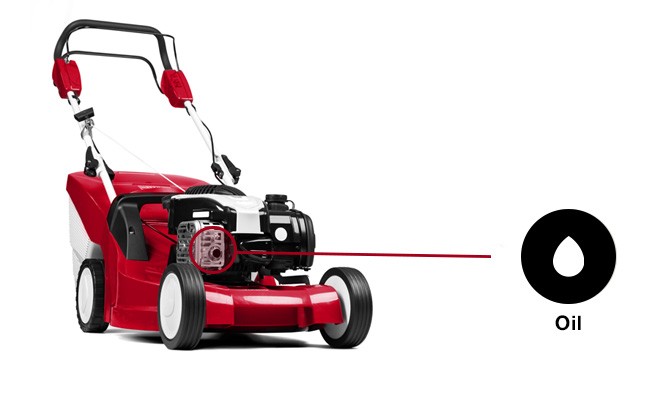 Check and change lawn mower oil graphic.